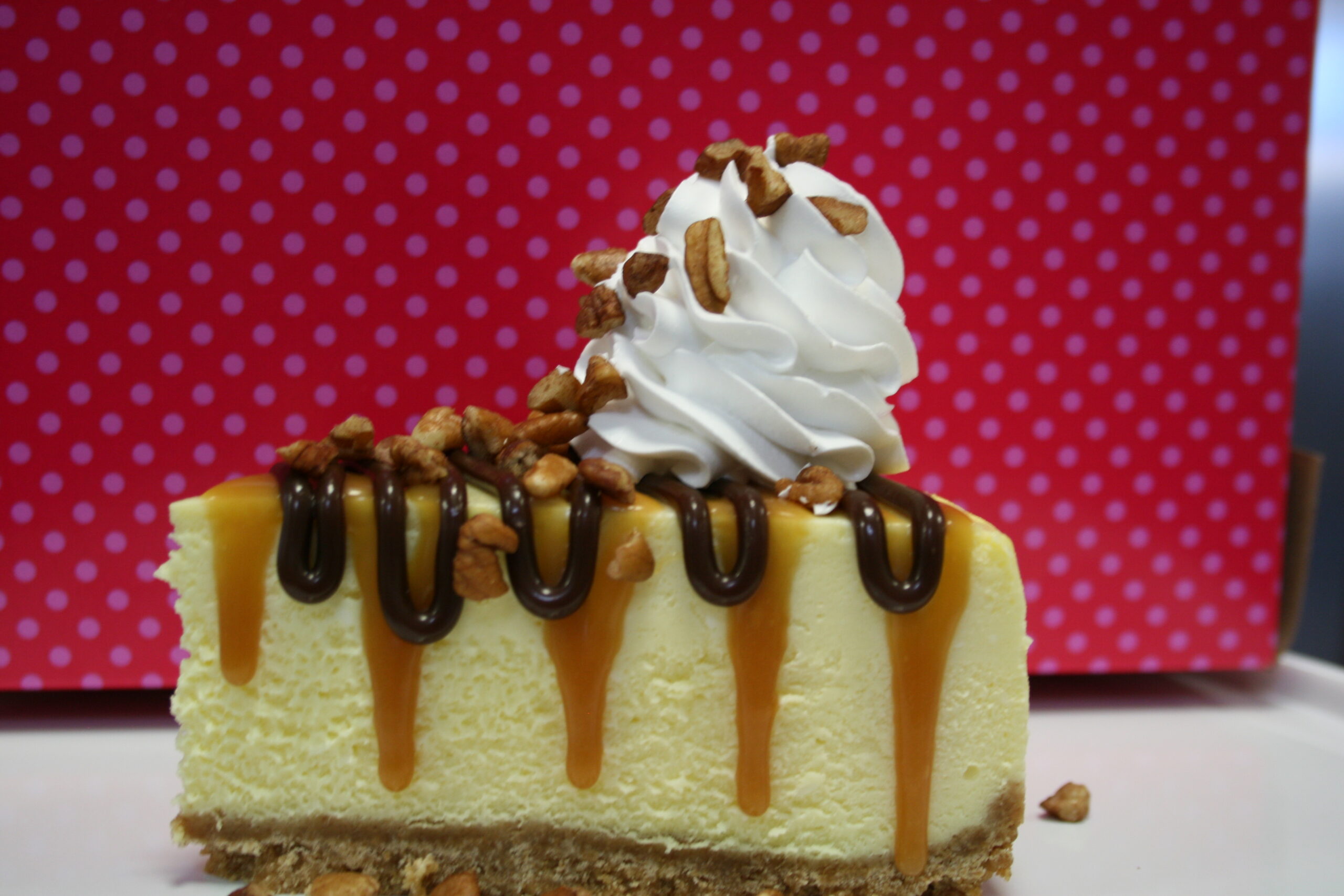 Turtle New York Style Cheesecake